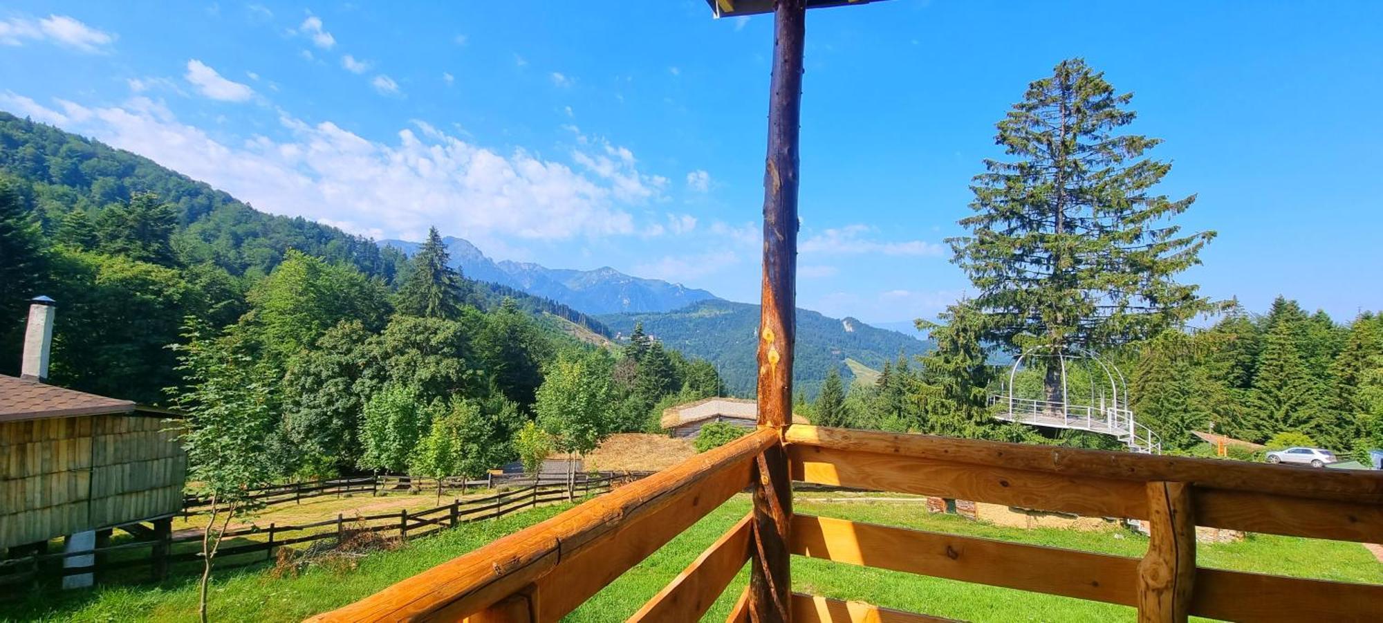 Harmonie Tree House Cotagges Chalet Predeal Trei Brazi Экстерьер фото