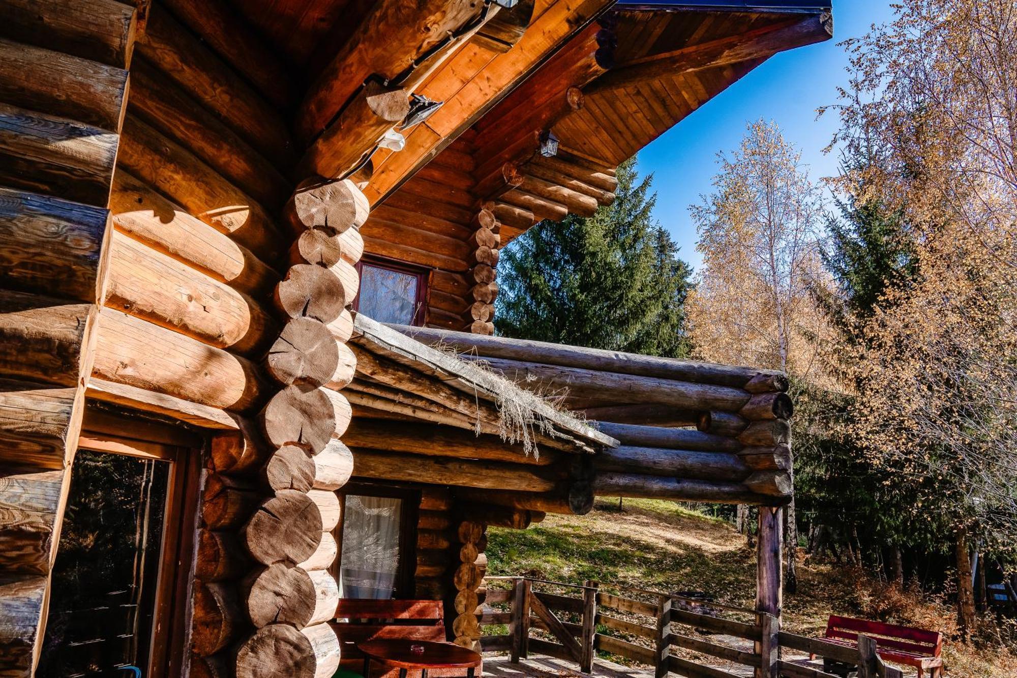 Harmonie Tree House Cotagges Chalet Predeal Trei Brazi Экстерьер фото